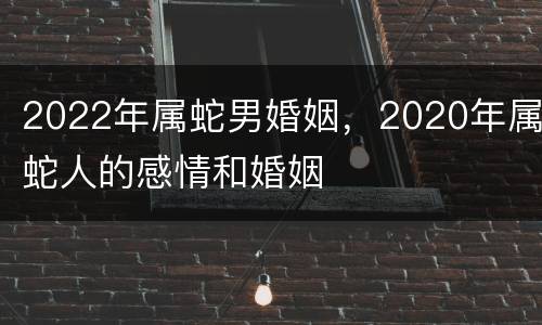 2022年属蛇男婚姻，2020年属蛇人的感情和婚姻