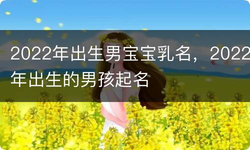 2022年出生男宝宝乳名，2022年出生的男孩起名
