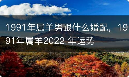 1991年属羊男跟什么婚配，1991年属羊2022 年运势