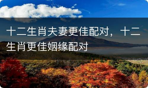 十二生肖夫妻更佳配对，十二生肖更佳姻缘配对