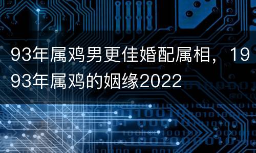 93年属鸡男更佳婚配属相，1993年属鸡的姻缘2022