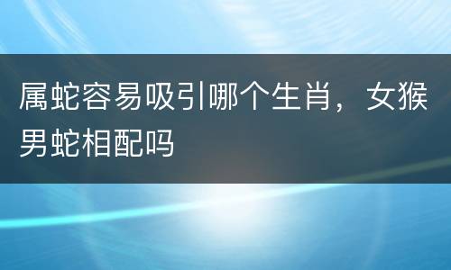 属蛇容易吸引哪个生肖，女猴男蛇相配吗