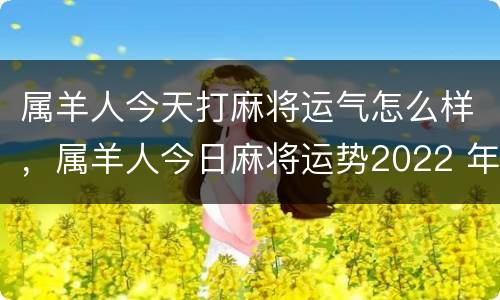 属羊人今天打麻将运气怎么样，属羊人今日麻将运势2022 年
