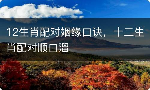 12生肖配对姻缘口诀，十二生肖配对顺口溜