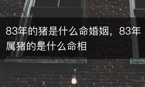 83年的猪是什么命婚姻，83年属猪的是什么命相