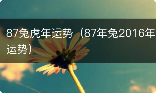 87兔虎年运势（87年兔2016年运势）