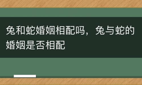 兔和蛇婚姻相配吗，兔与蛇的婚姻是否相配