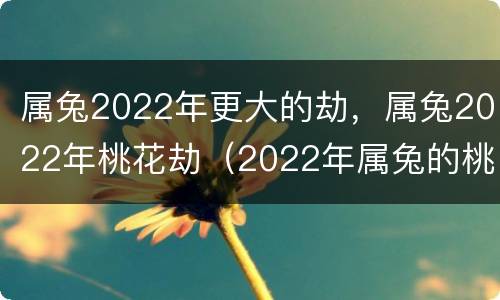 属兔2022年更大的劫，属兔2022年桃花劫（2022年属兔的桃花运）