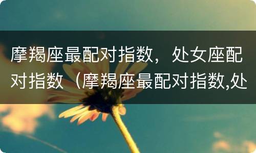 摩羯座最配对指数，处女座配对指数（摩羯座最配对指数,处女座配对指数是多少）