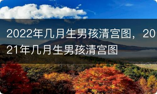2022年几月生男孩清宫图，2021年几月生男孩清宫图