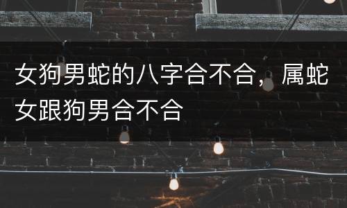 女狗男蛇的八字合不合，属蛇女跟狗男合不合
