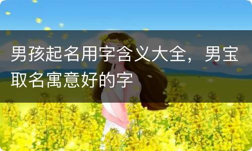 男孩起名用字含义大全，男宝取名寓意好的字