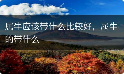 属牛应该带什么比较好，属牛的带什么