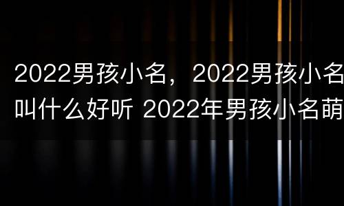 2022男孩小名，2022男孩小名叫什么好听 2022年男孩小名萌一点的洋气