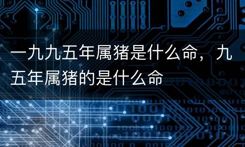 一九九五年属猪是什么命，九五年属猪的是什么命