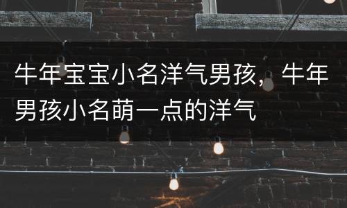牛年宝宝小名洋气男孩，牛年男孩小名萌一点的洋气