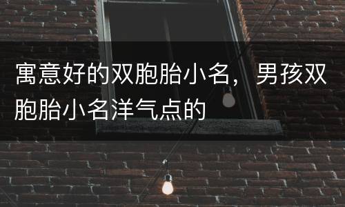 寓意好的双胞胎小名，男孩双胞胎小名洋气点的
