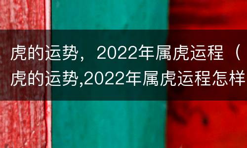 虎的运势，2022年属虎运程（虎的运势,2022年属虎运程怎样）