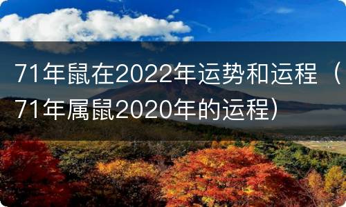 71年鼠在2022年运势和运程（71年属鼠2020年的运程）