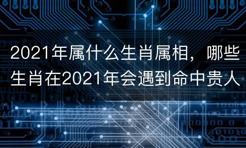 2021年属什么生肖属相，哪些生肖在2021年会遇到命中贵人