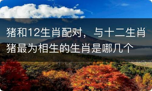 猪和12生肖配对，与十二生肖猪最为相生的生肖是哪几个