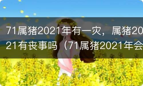 71属猪2021年有一灾，属猪2021有丧事吗（71属猪2021年会有一坎）