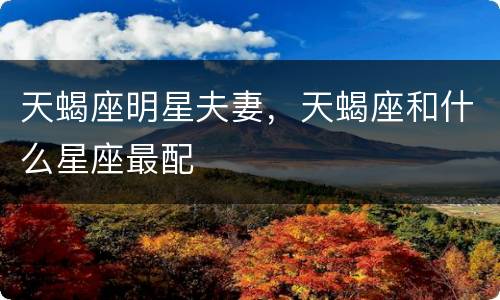 天蝎座明星夫妻，天蝎座和什么星座最配