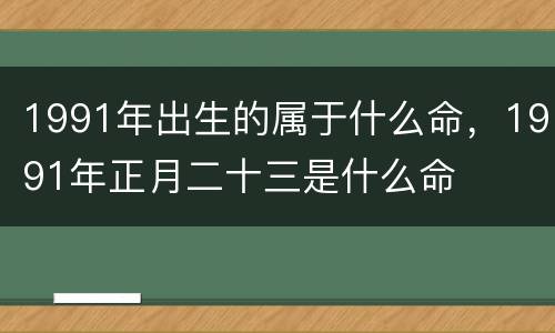 1991年出生的属于什么命，1991年正月二十三是什么命