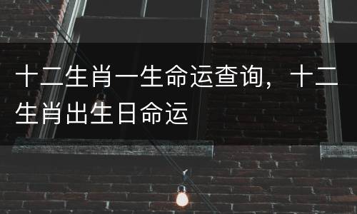 十二生肖一生命运查询，十二生肖出生日命运