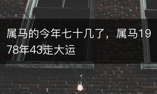 属马的今年七十几了，属马1978年43走大运