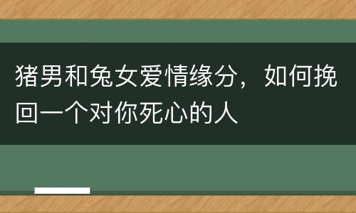 猪男和兔女爱情缘分，如何挽回一个对你死心的人