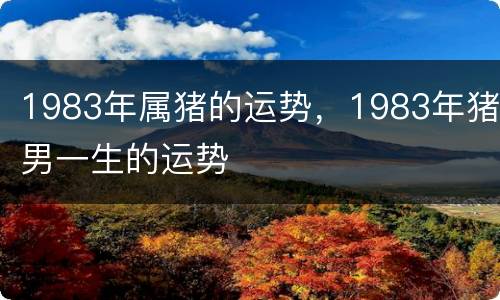 1983年属猪的运势，1983年猪男一生的运势