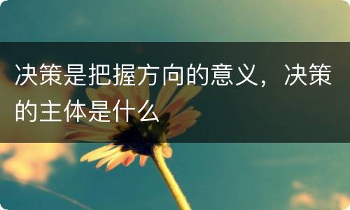 决策是把握方向的意义，决策的主体是什么