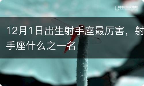 12月1日出生射手座最厉害，射手座什么之一名
