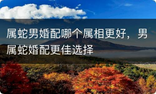 属蛇男婚配哪个属相更好，男属蛇婚配更佳选择