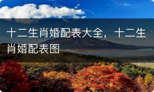 十二生肖婚配表大全，十二生肖婚配表图