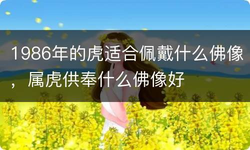 1986年的虎适合佩戴什么佛像，属虎供奉什么佛像好