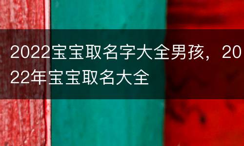2022宝宝取名字大全男孩，2022年宝宝取名大全