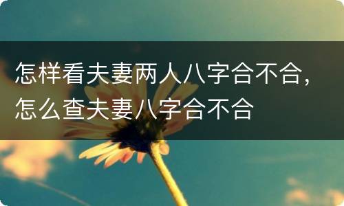 怎样看夫妻两人八字合不合，怎么查夫妻八字合不合