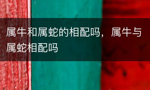 属牛和属蛇的相配吗，属牛与属蛇相配吗