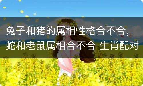 兔子和猪的属相性格合不合，蛇和老鼠属相合不合 生肖配对