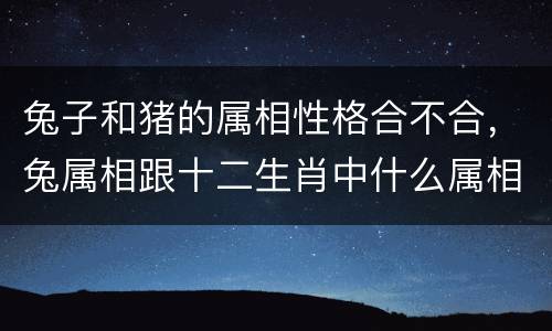 兔子和猪的属相性格合不合，兔属相跟十二生肖中什么属相最配