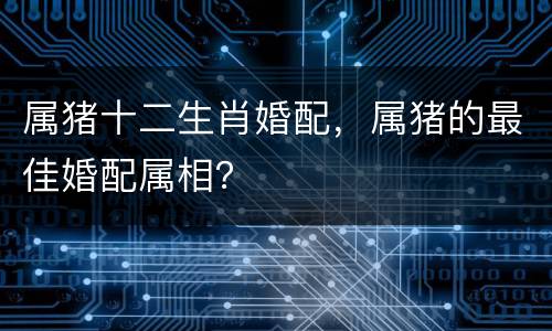 属猪十二生肖婚配，属猪的最佳婚配属相？