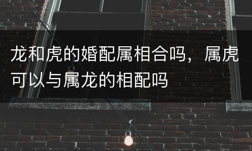 龙和虎的婚配属相合吗，属虎可以与属龙的相配吗