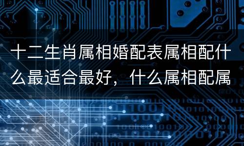 十二生肖属相婚配表属相配什么最适合最好，什么属相配属相最好