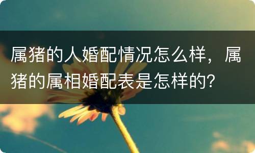 属猪的人婚配情况怎么样，属猪的属相婚配表是怎样的？
