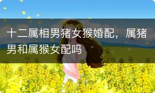 十二属相男猪女猴婚配，属猪男和属猴女配吗