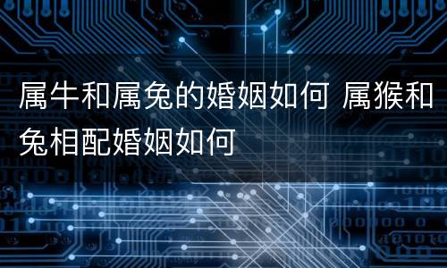 属牛和属兔的婚姻如何 属猴和兔相配婚姻如何