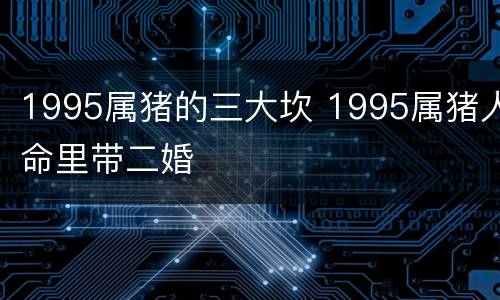 1995属猪的三大坎 1995属猪人命里带二婚