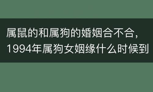 属鼠的和属狗的婚姻合不合，1994年属狗女姻缘什么时候到